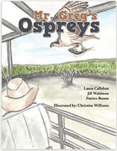 Issue 2, December 2021, Ospreys, Snowbird Neighbors, Ecosystem, CoreShark H2O