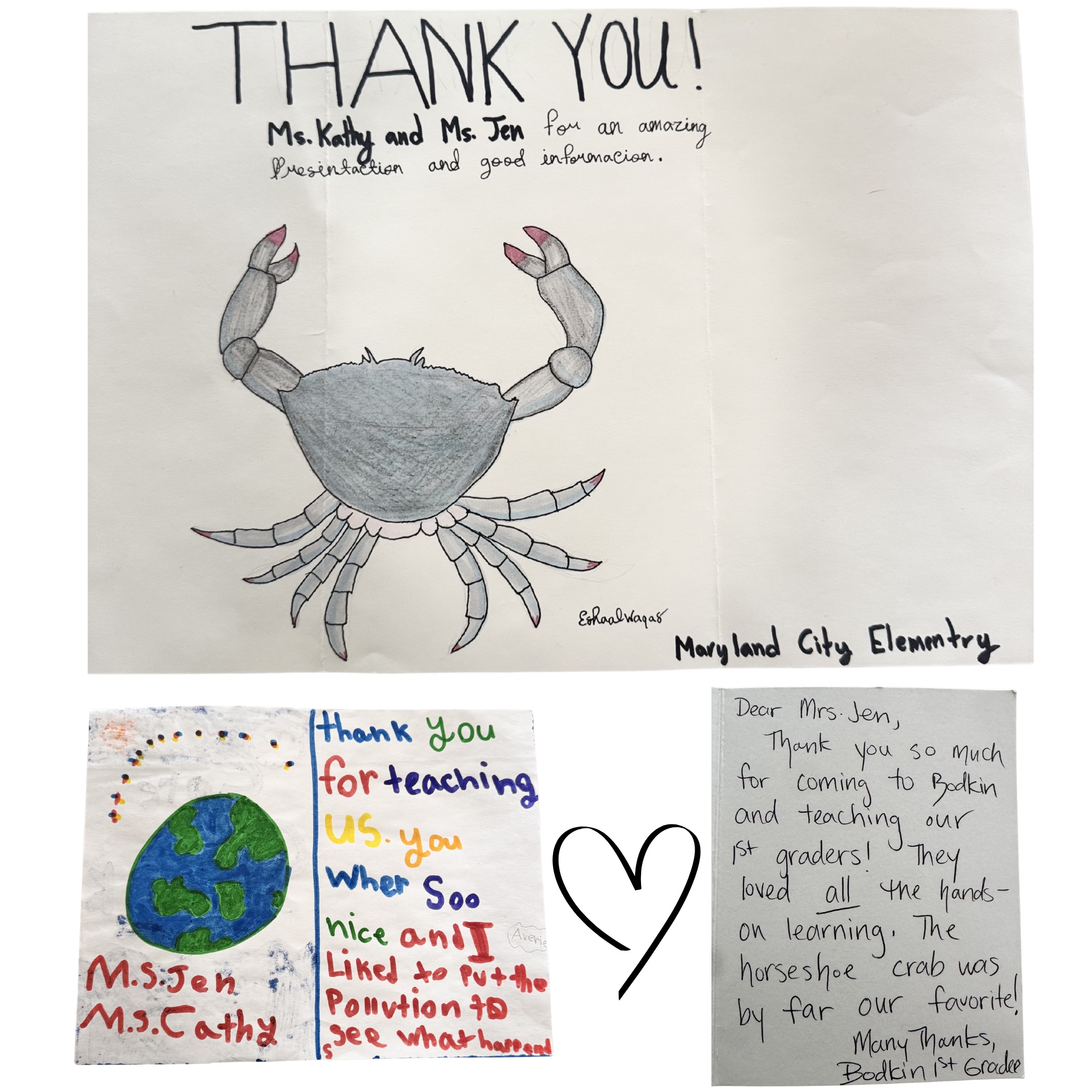 Untitled design - 2 untitled design 2